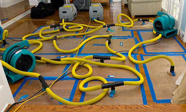 Professional Basement Flood Cleanup technician working in Fort Johnson, NY